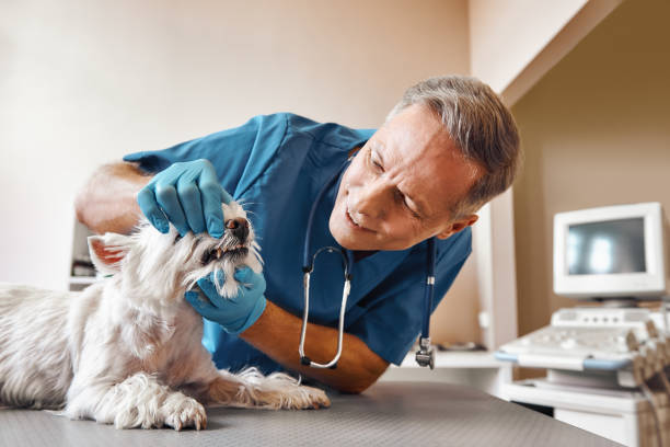 Best Emergency Dentist for Knocked-Out Tooth in Martinez, GA